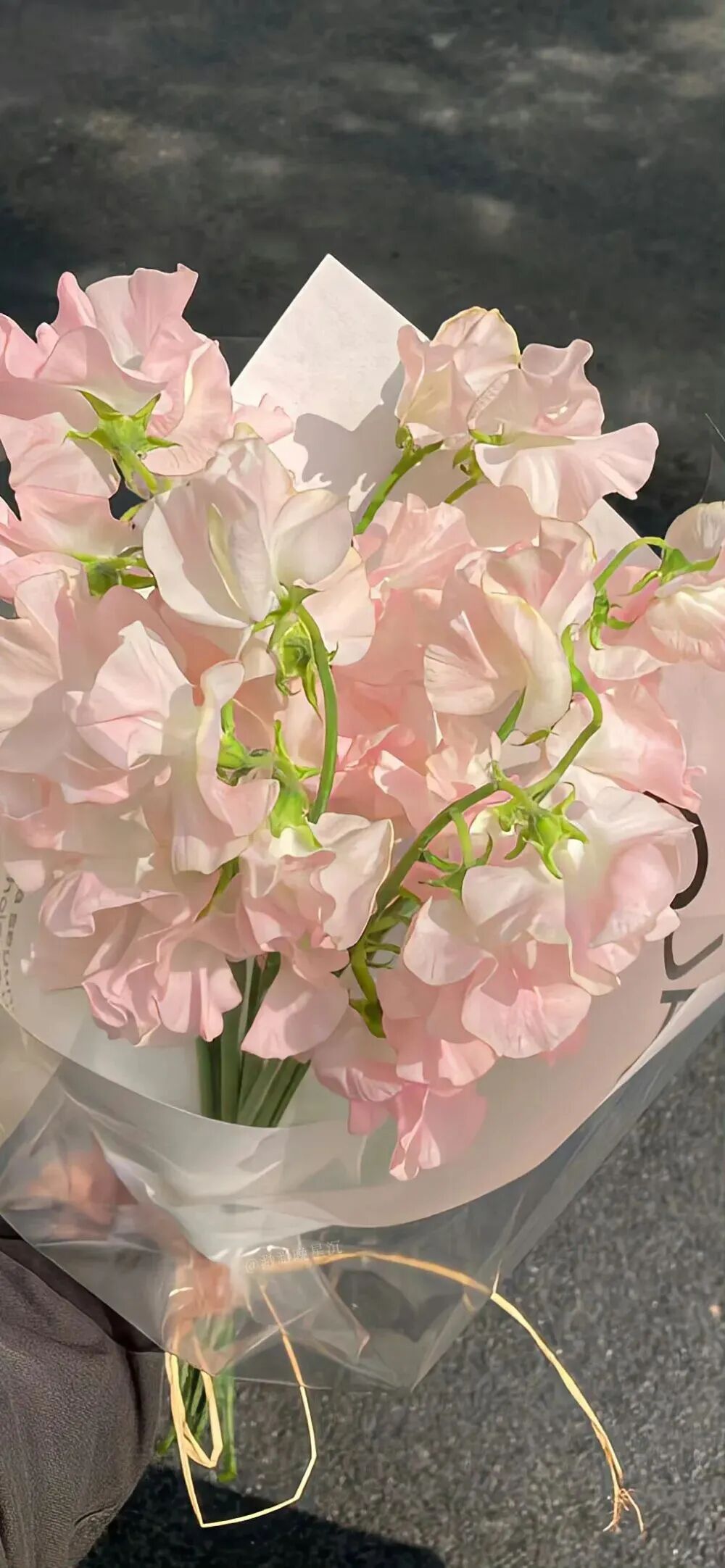 什锦
