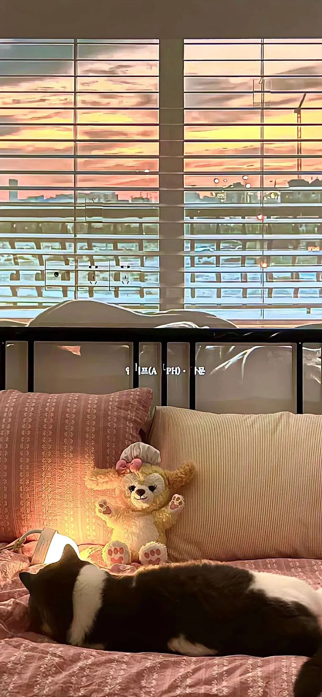 什锦