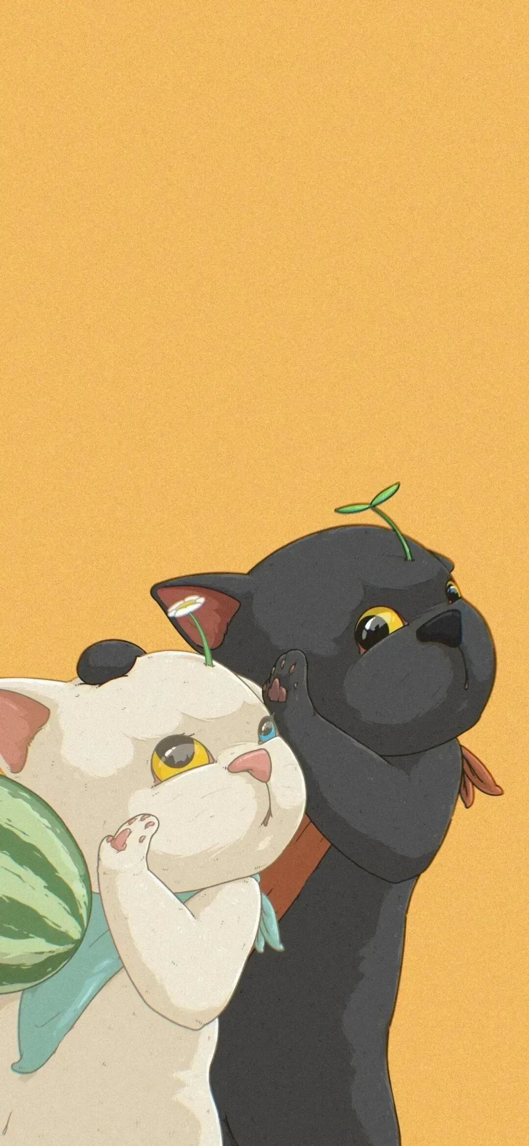 情侣