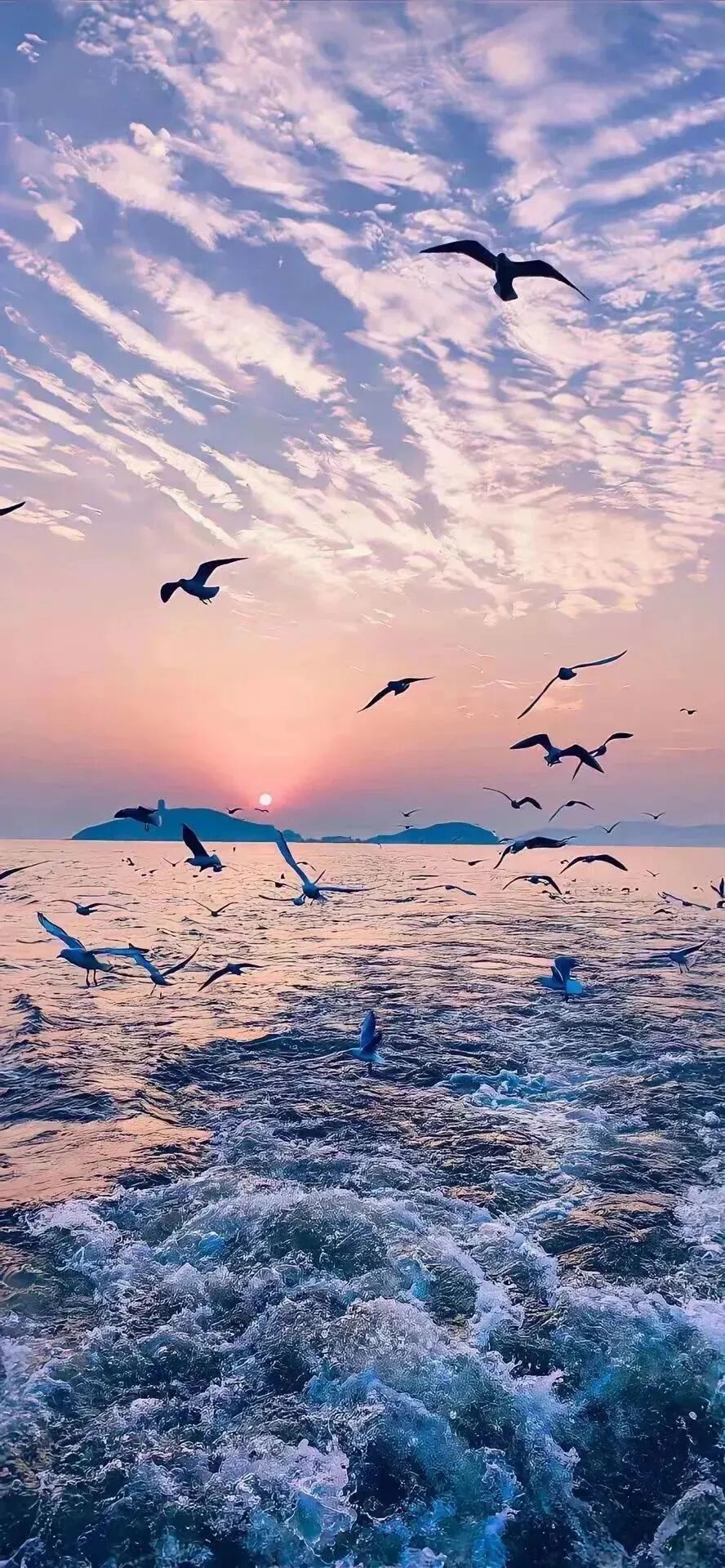 风景