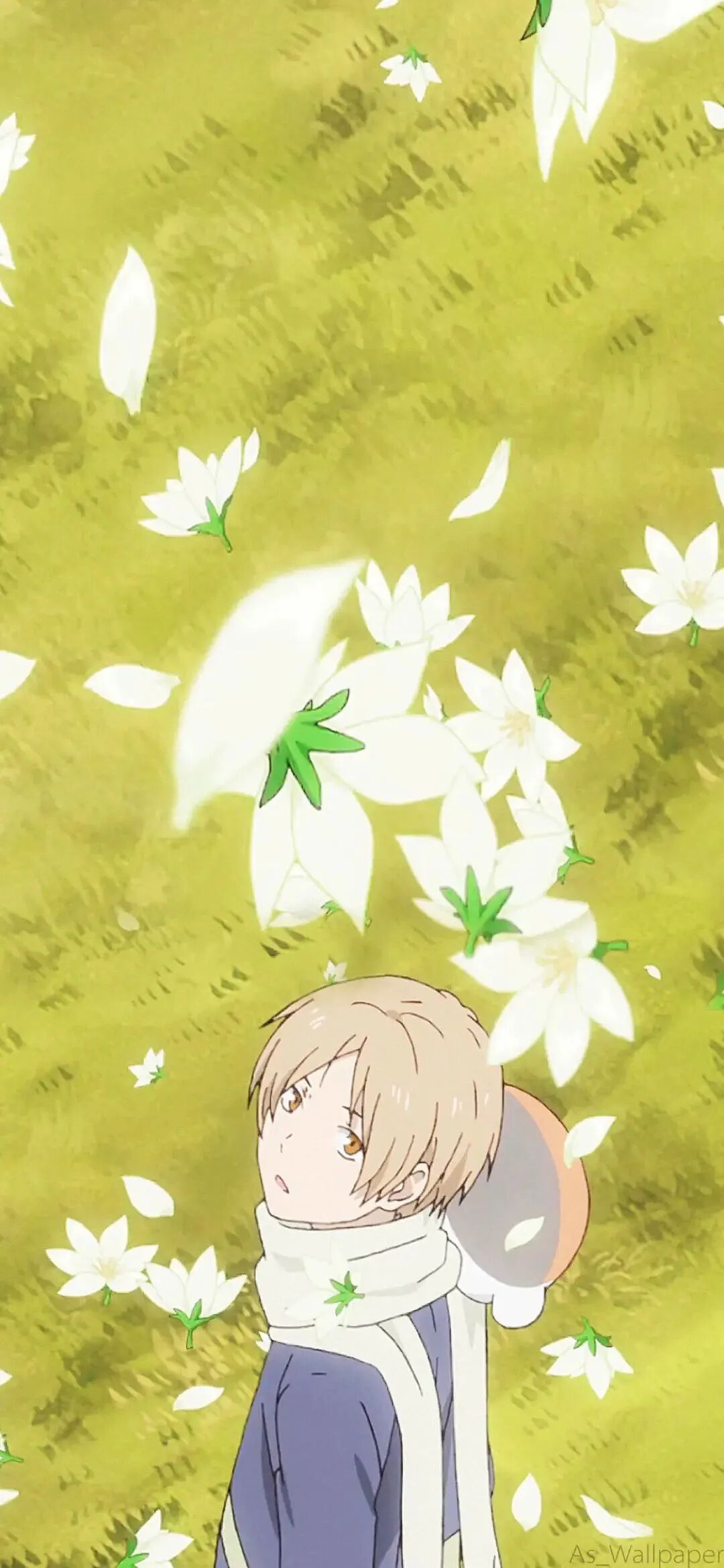 动漫