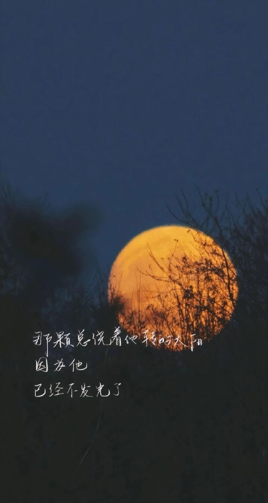 风景