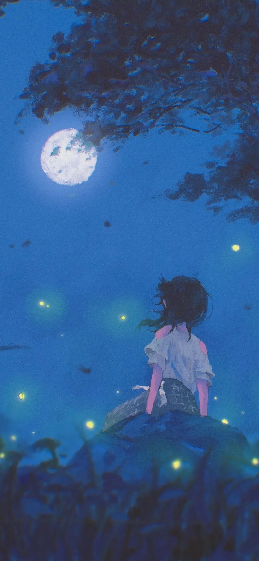 动漫
