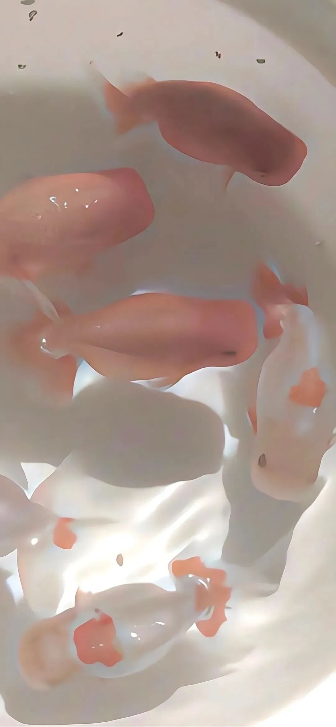 什锦