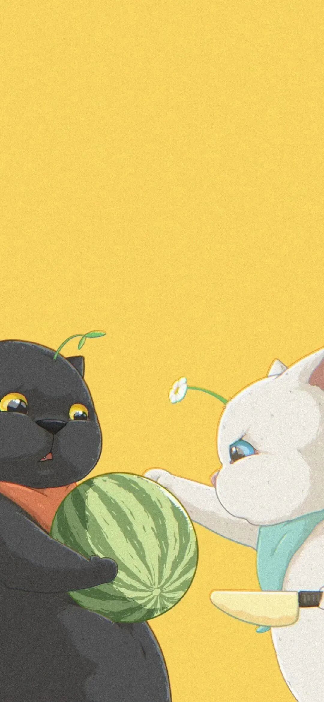 情侣