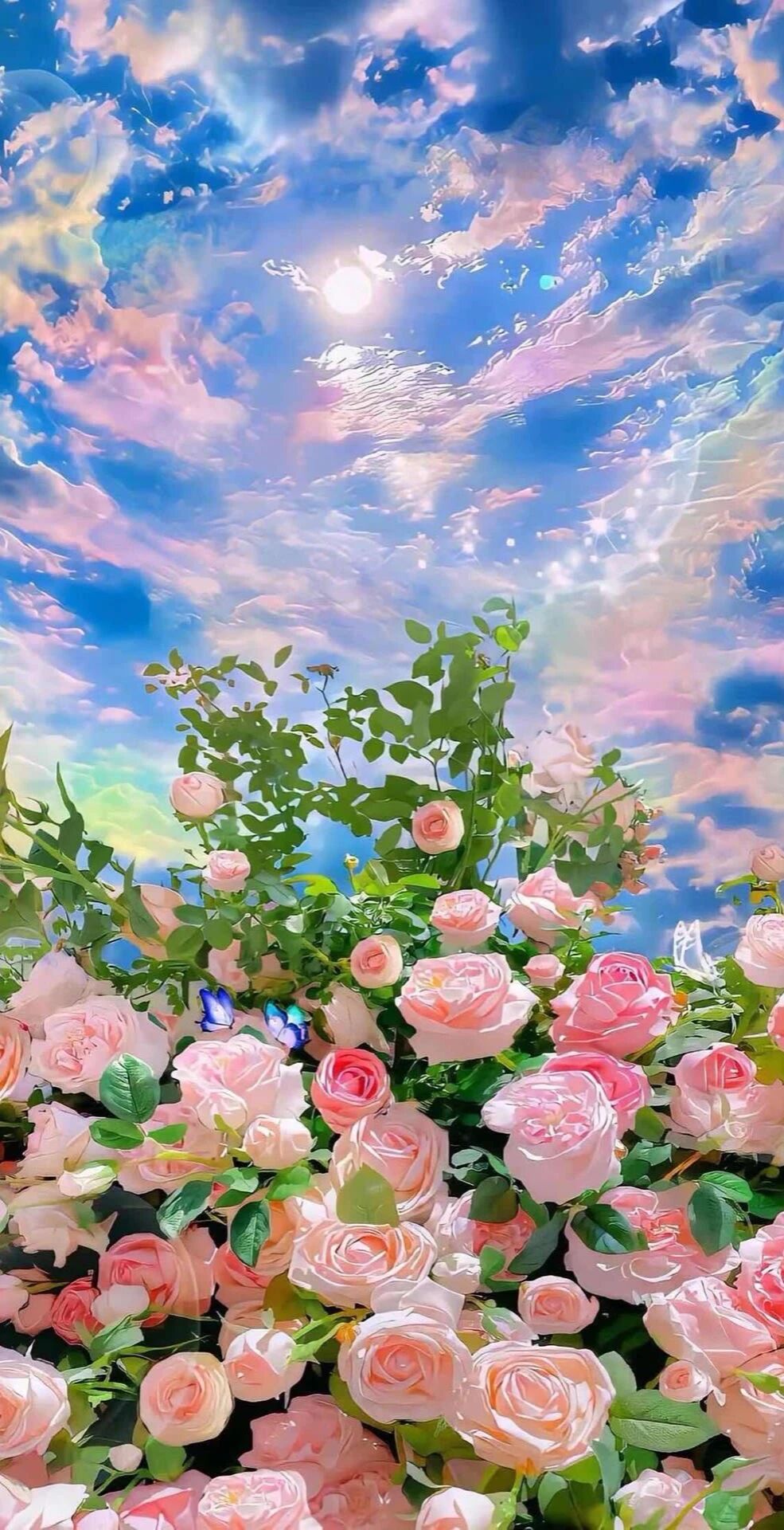 风景