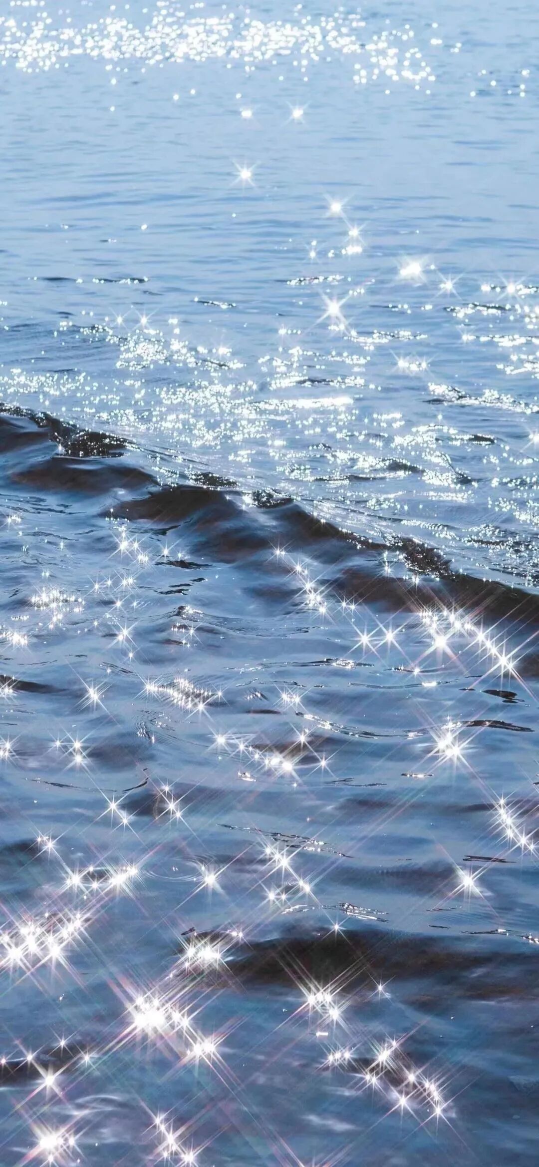 风景