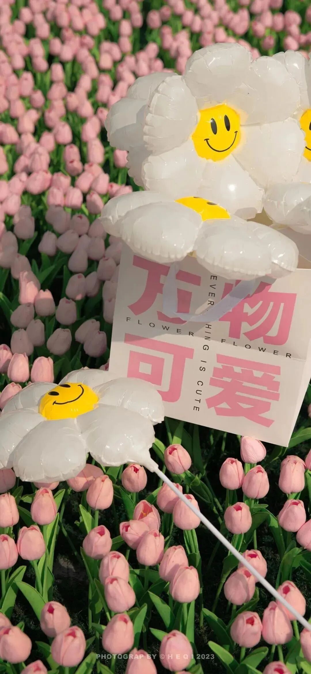 风景