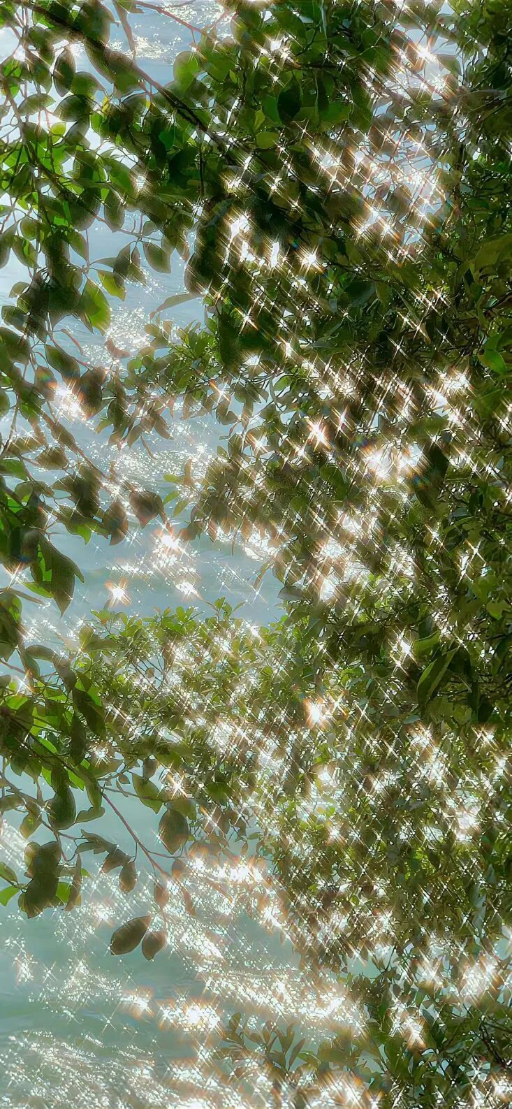 风景