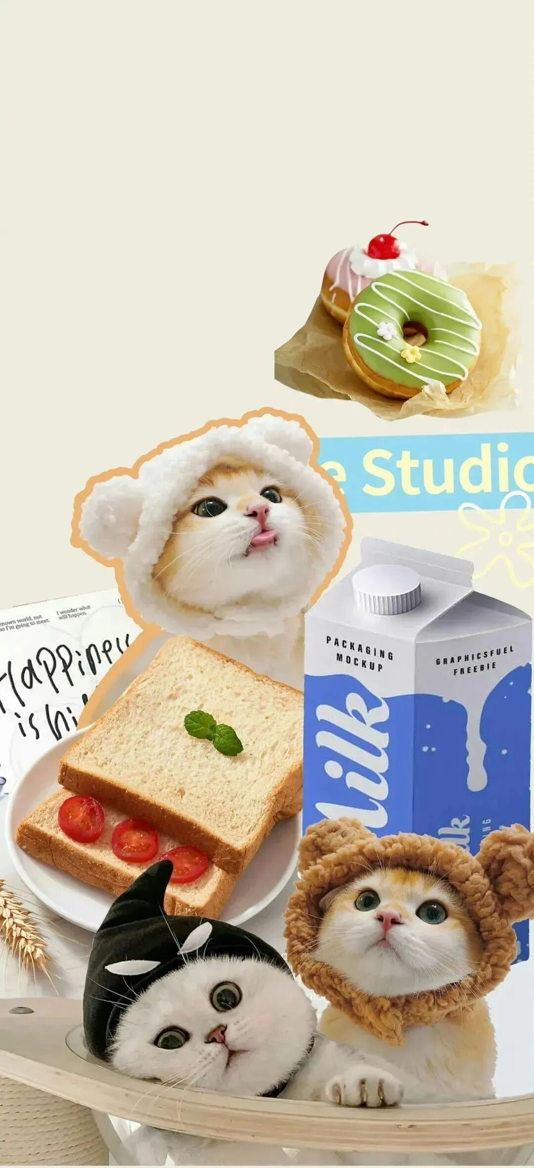 可爱猫咪壁纸