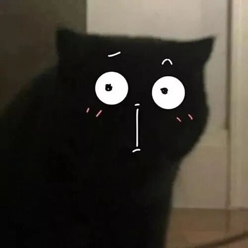 沙雕搞怪猫咪卡通头像