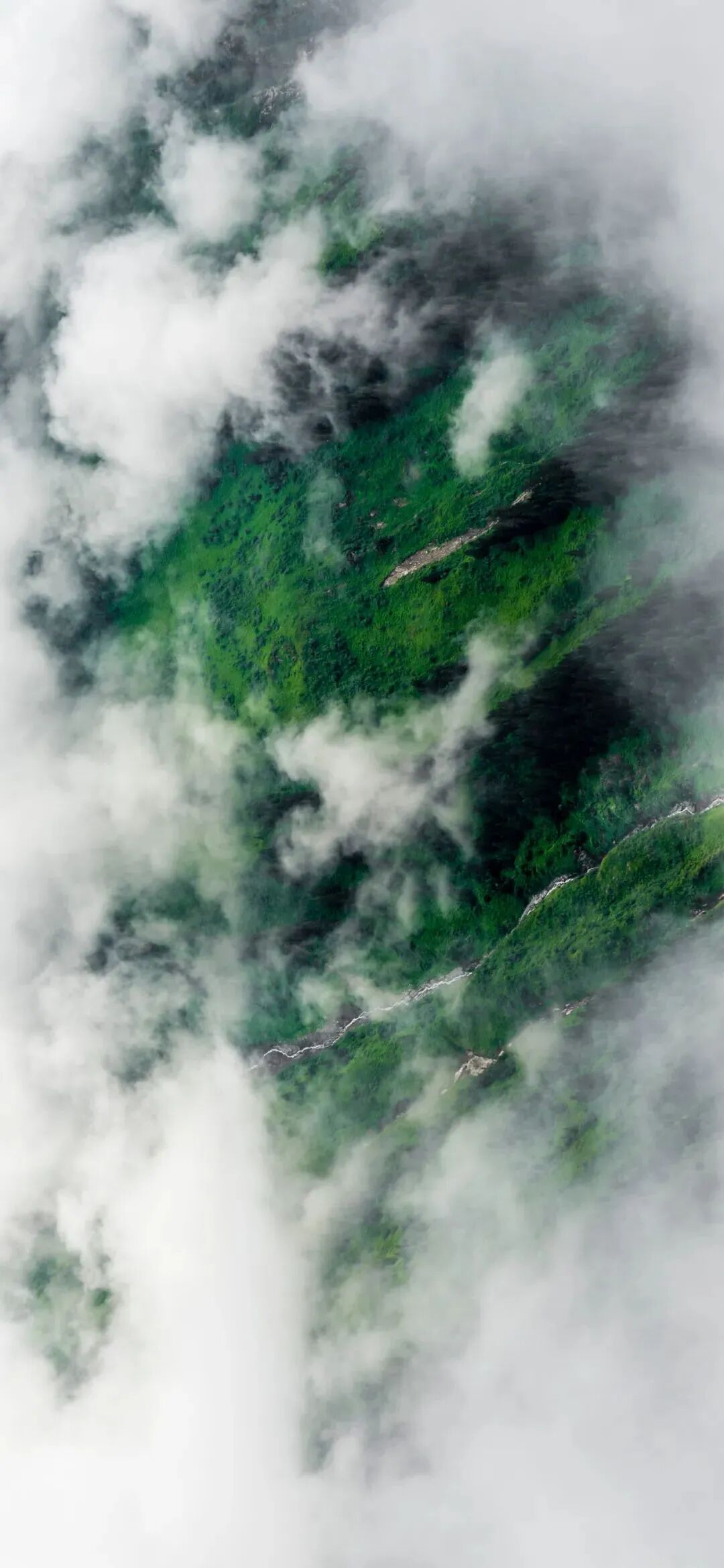风景