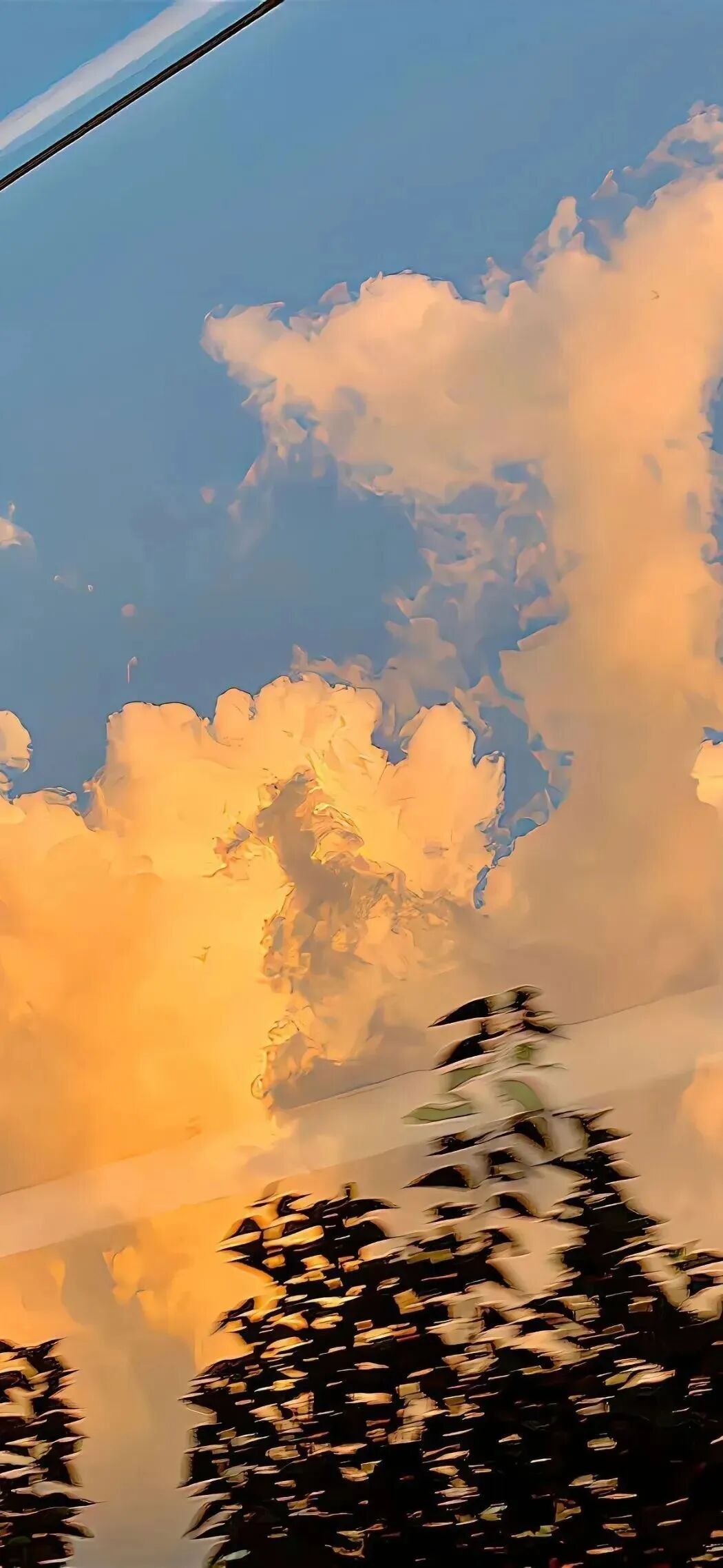 风景