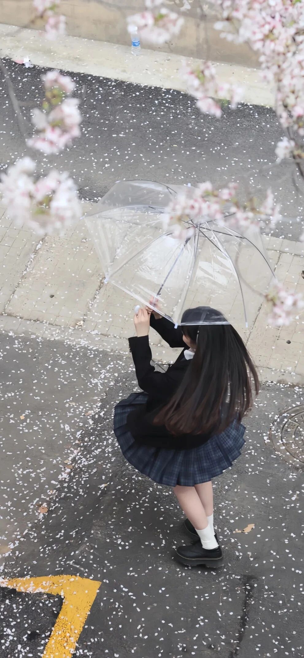 抖音热门