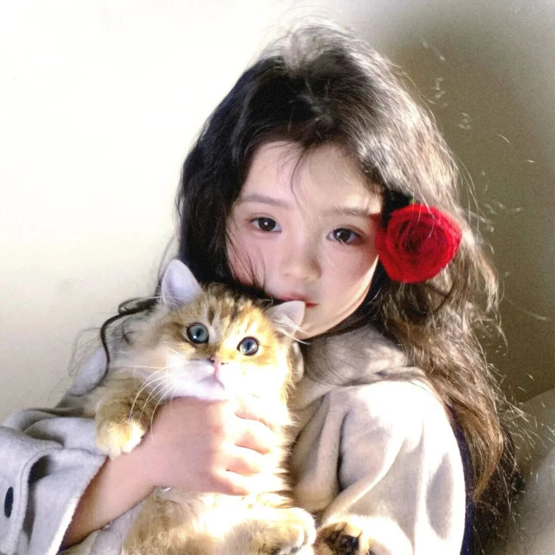 抱着猫咪小女孩萌娃头像