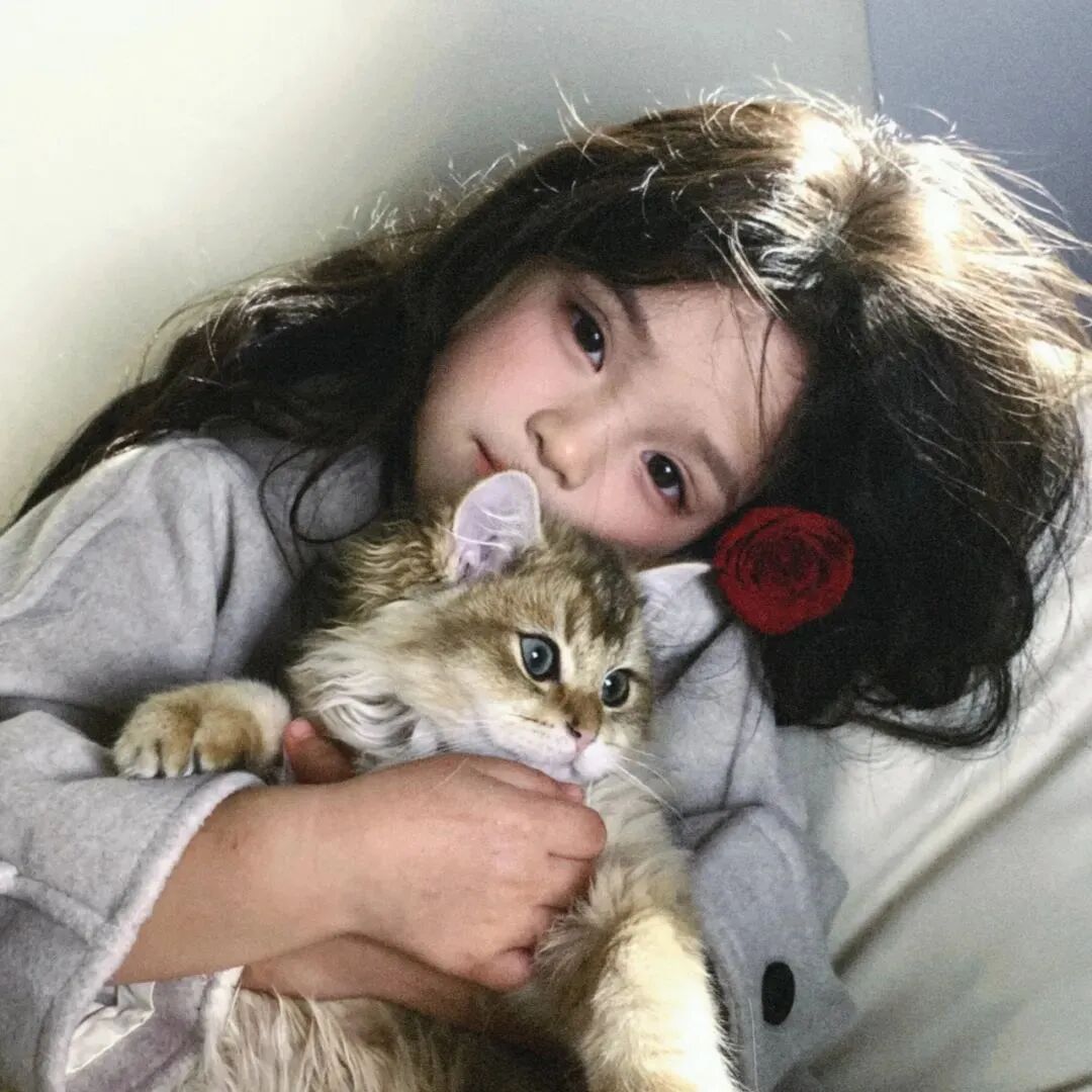 抱着猫咪小女孩萌娃头像