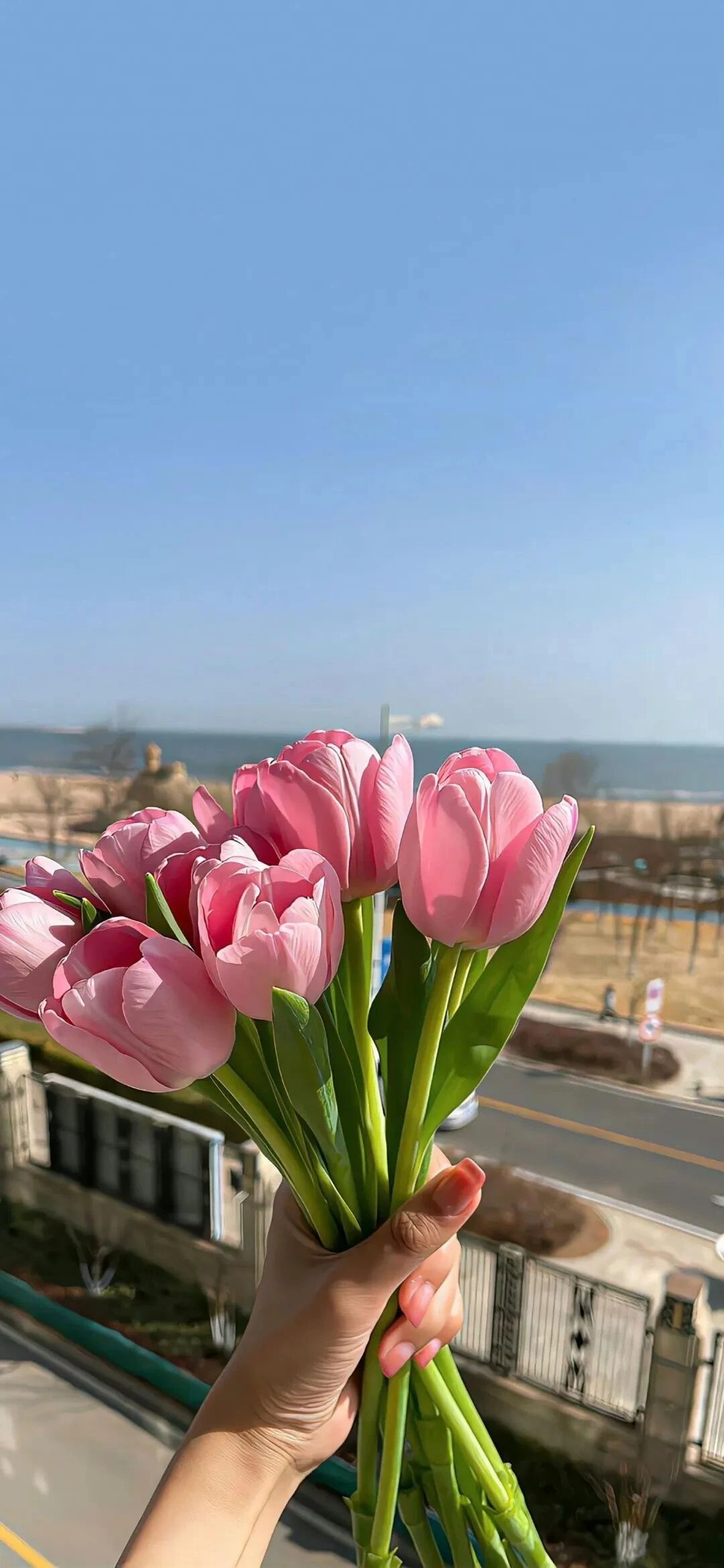 风景