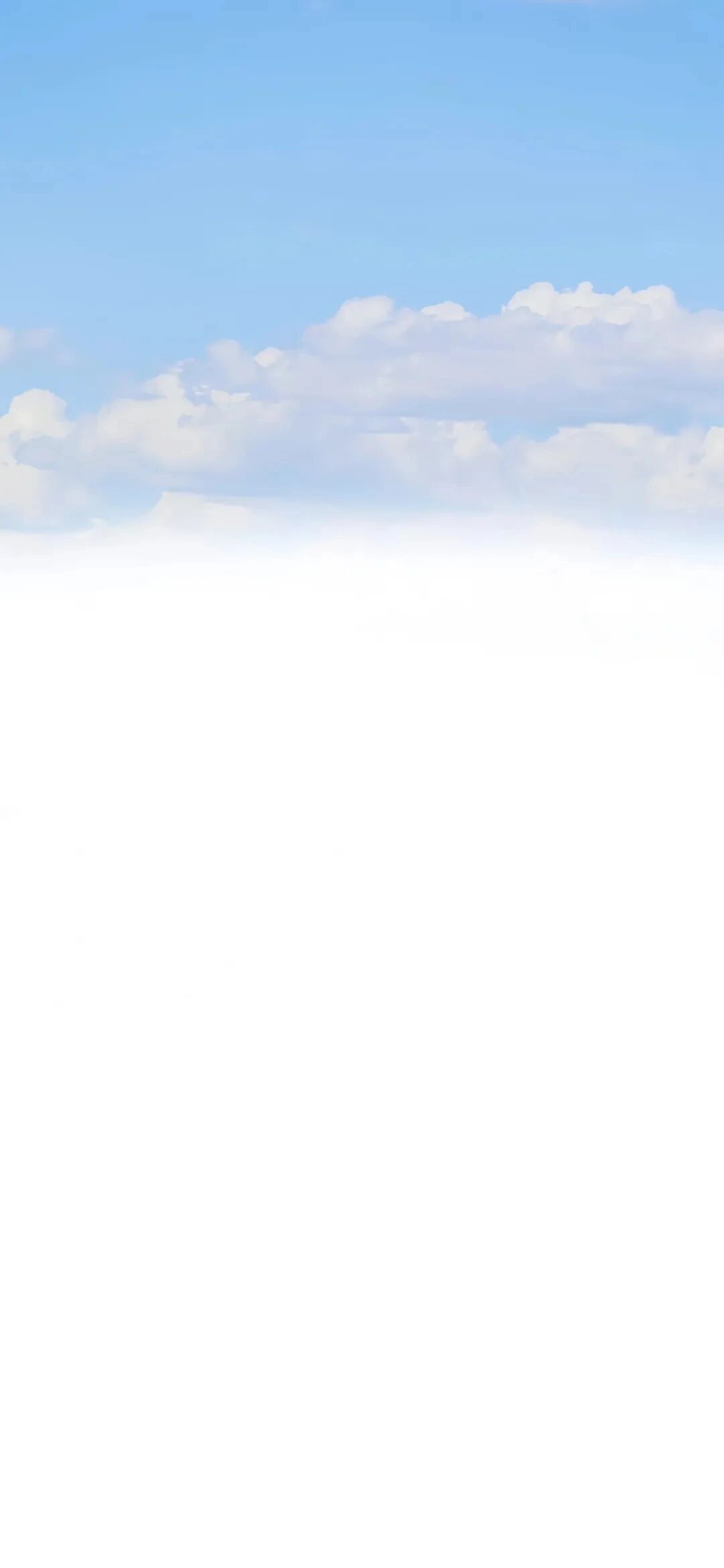 风景