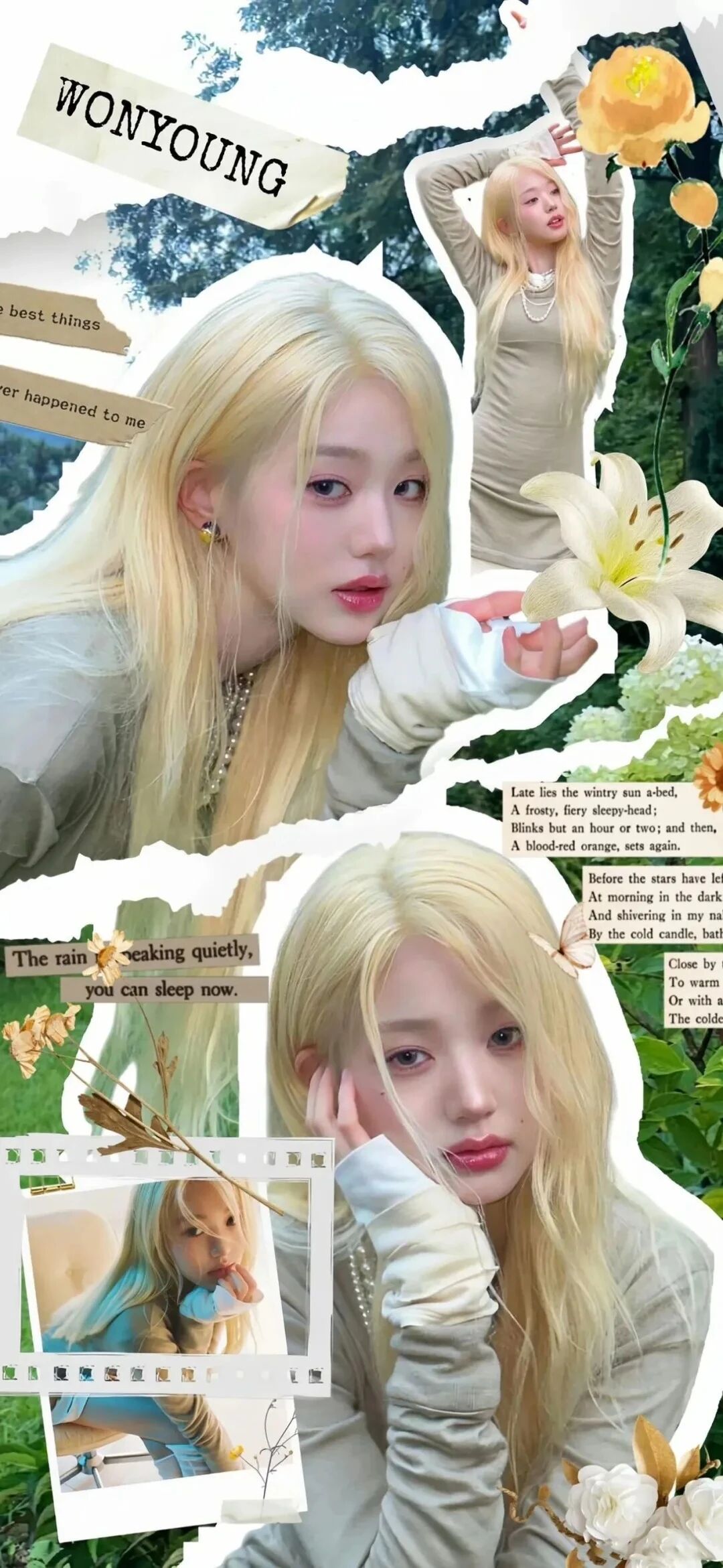 抖音热门