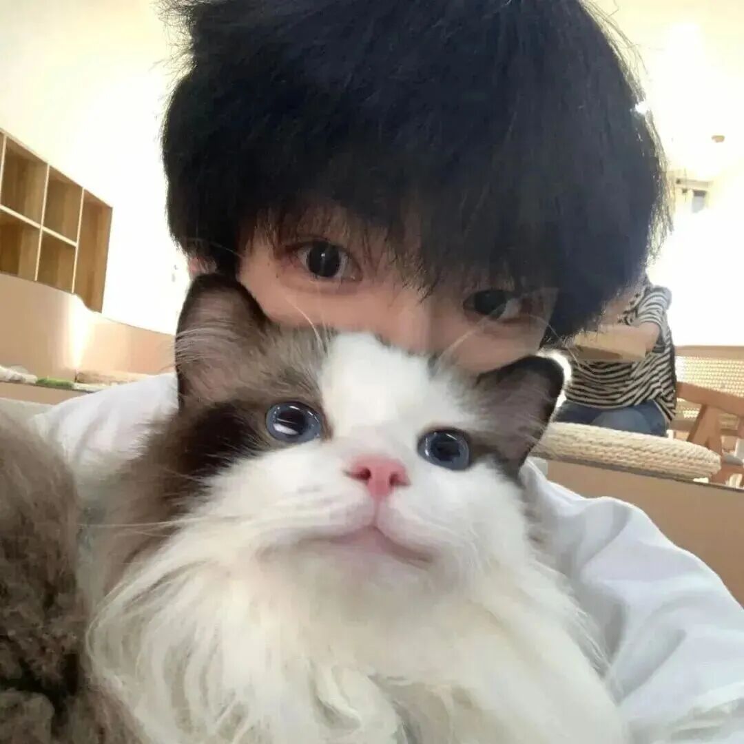 抱着猫咪小众男生头像