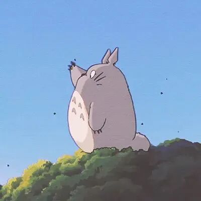 动漫 动漫头像 动漫男头 动漫头像男 龙猫 龙猫头像
