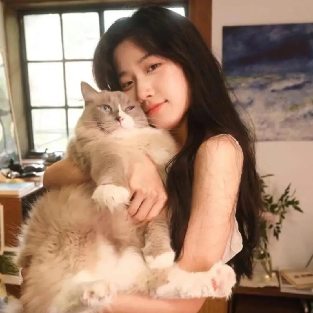 抱着猫咪温柔女生头像