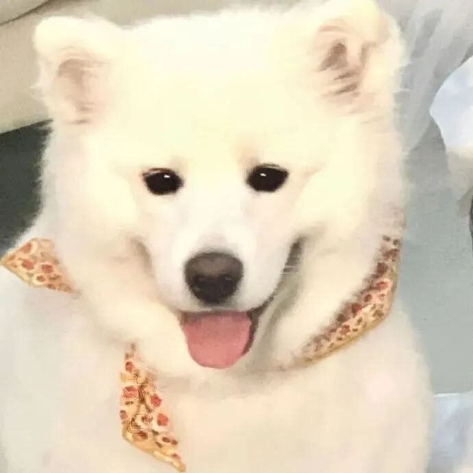情侣头像 真人情侣头像 真人情头  情头  婚纱 婚纱头像 婚纱情侣头像 婚纱情头 对象不是人