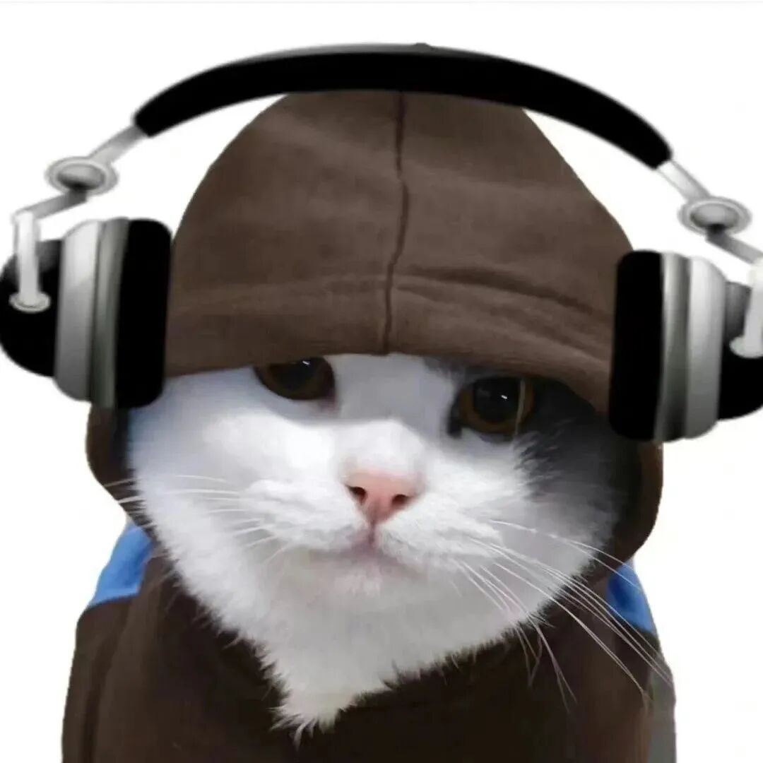 萌宠 萌宠头像  小猫头像 小猫