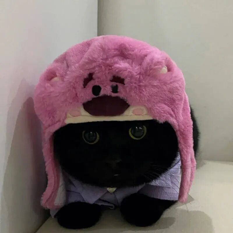 萌宠 萌宠头像  小猫头像 小猫 煤球 煤球头像