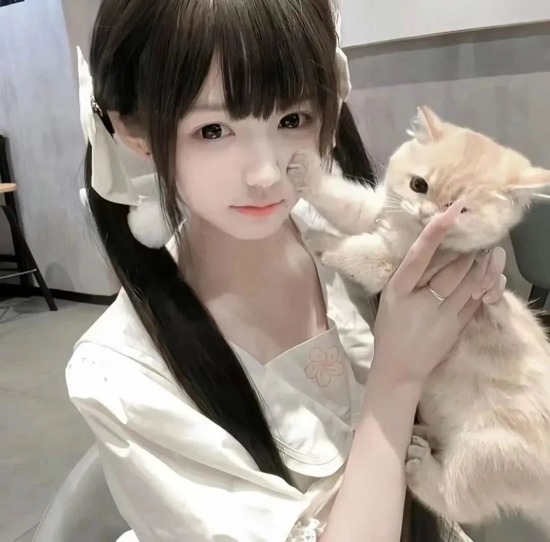 抱着猫咪少萝女生头像