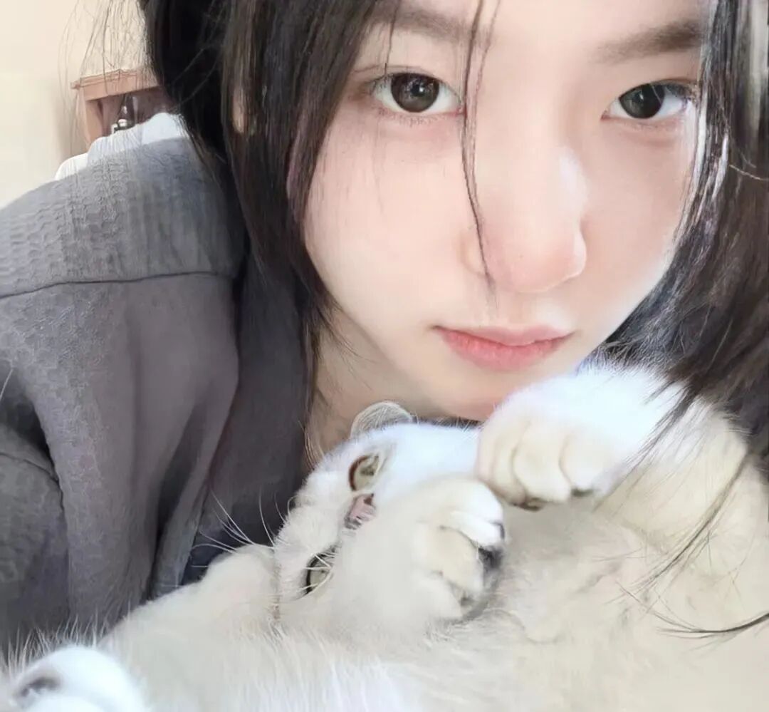 baozhemaolaopo抱着猫咪真人情侣头像