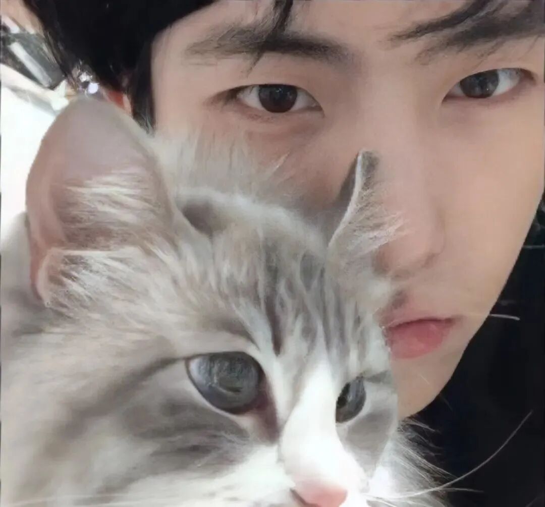 baozhemaolaopo抱着猫咪真人情侣头像