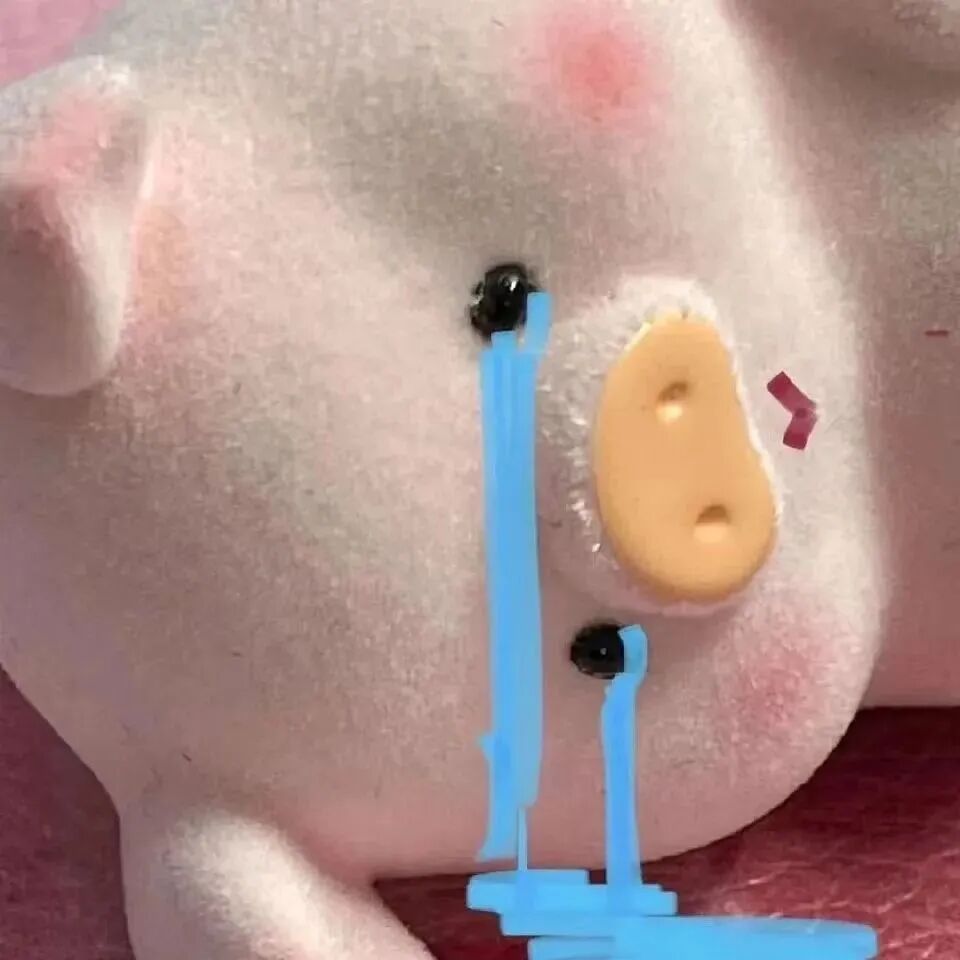 可爱 可爱头像  萌宠 萌宠头像 宠 猪