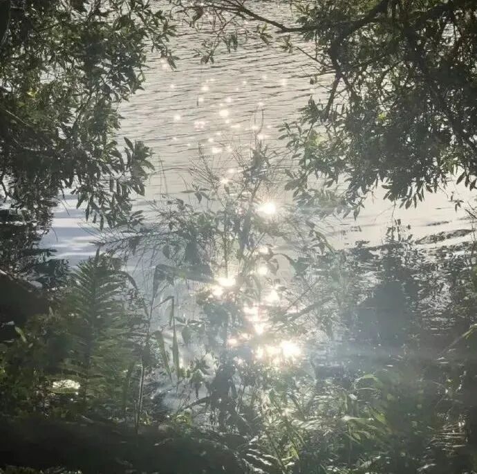 背景图 朋友圈背景 小清新 小清新背景