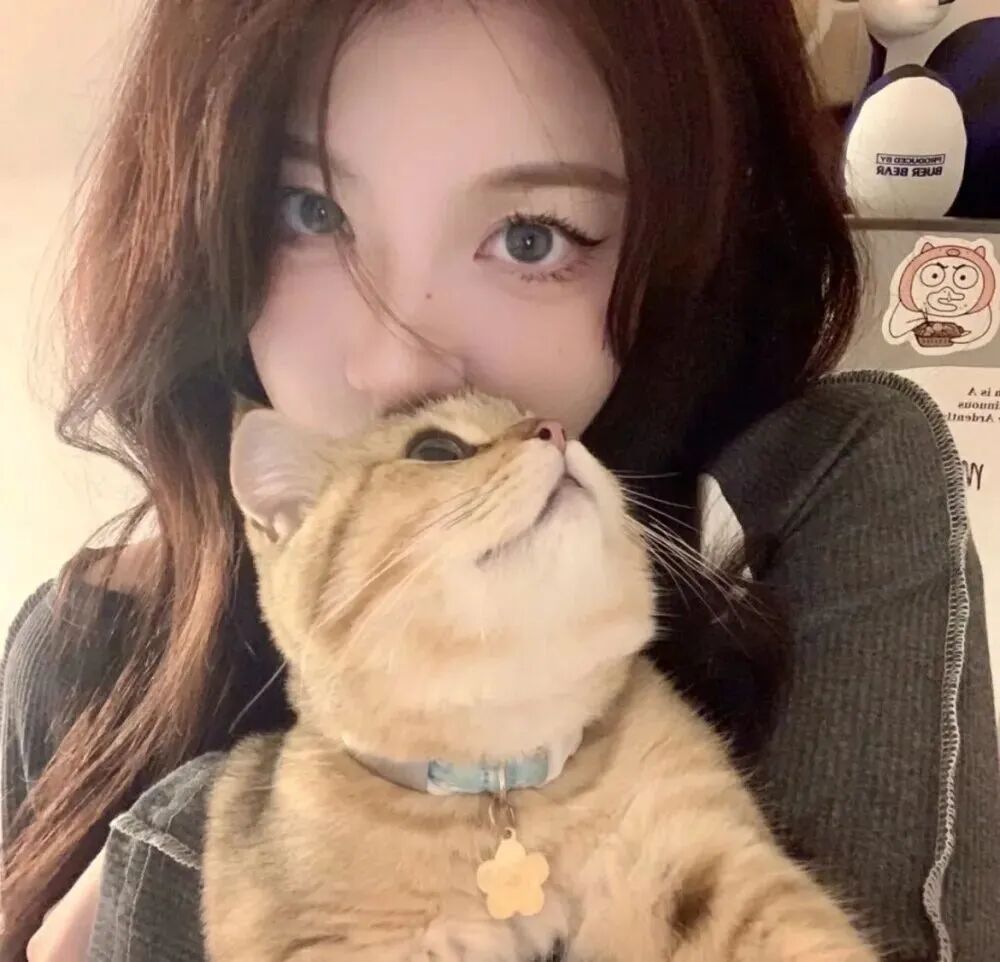 抱着猫咪小众女生头像