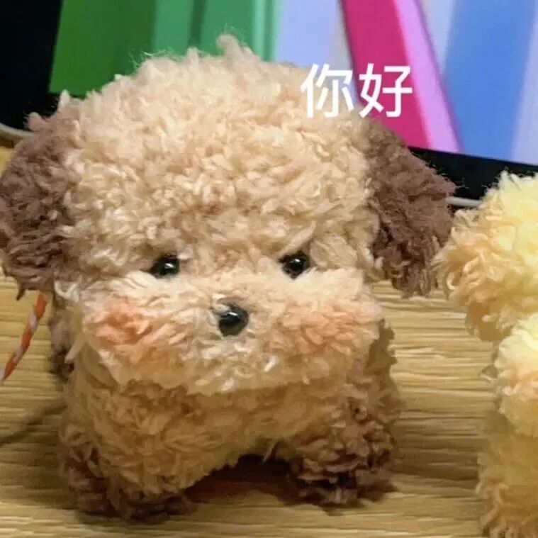 萌宠 萌宠头像 狗 可爱 可爱头像