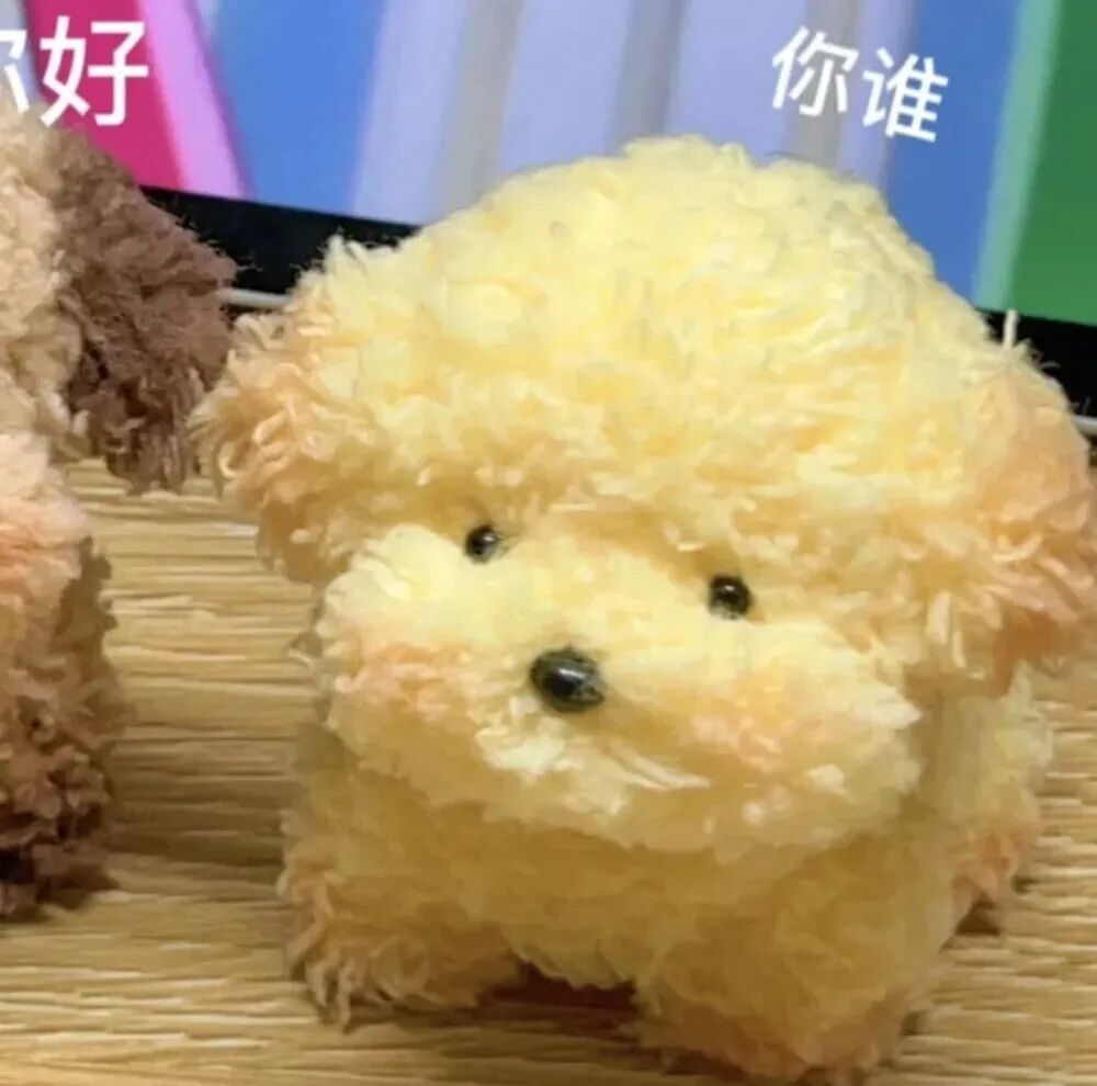 萌宠 萌宠头像 狗 可爱 可爱头像