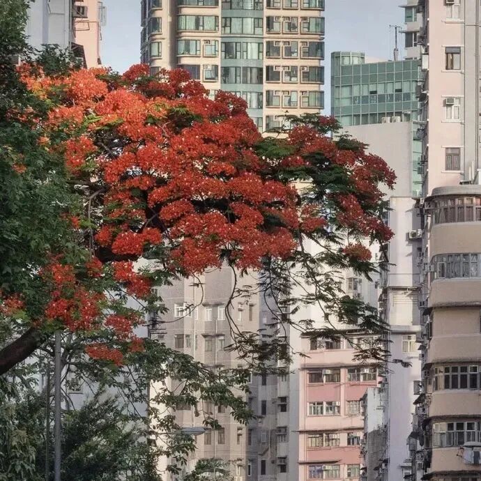 背景图 ins ins高级 唯美 意境