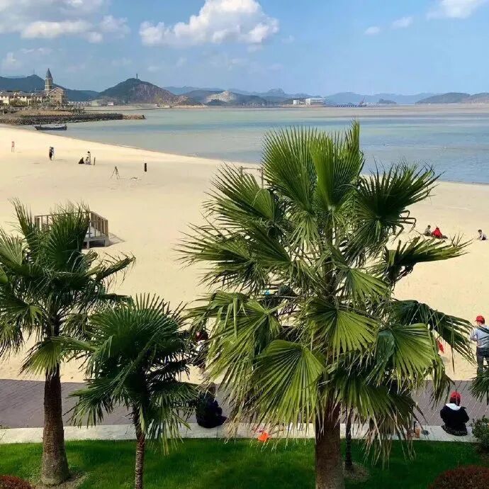 背景图 ins ins高级