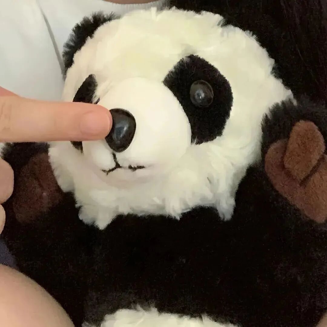 情头 情侣头像 真人情侣头像 真人情头 对象不是人 对象不是人系列