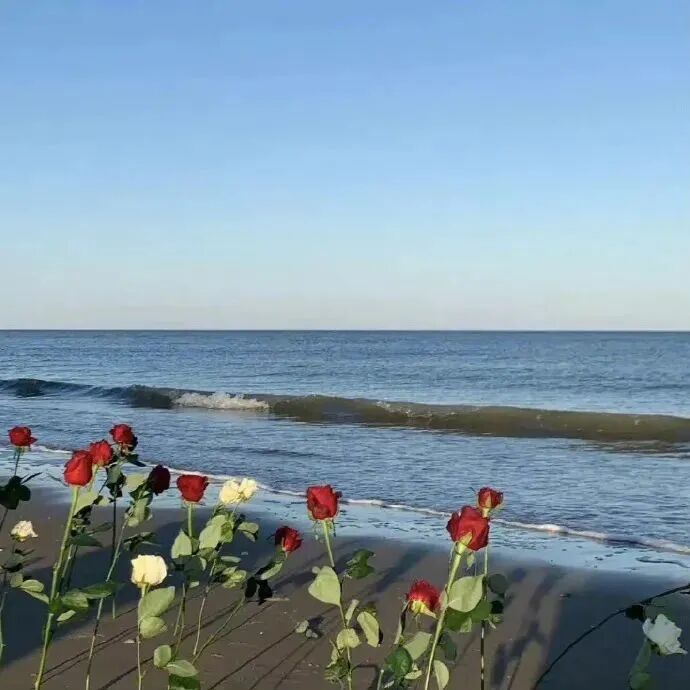背景图 唯美 意境 朋友圈背景