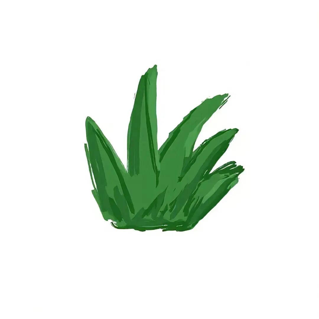 sdnguyeniucaduoliya沙雕搞怪牛草卡通情侣头像