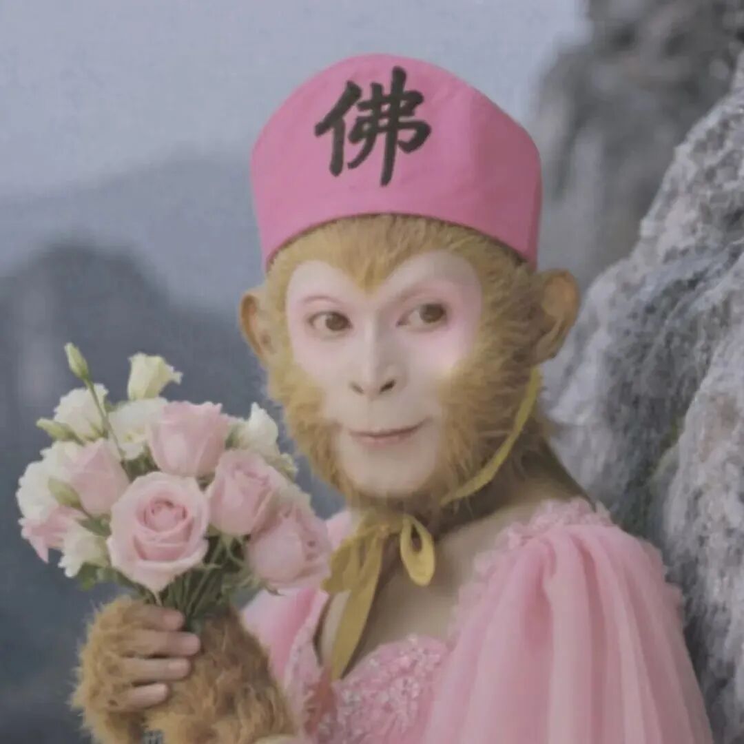 xiyoujisadguaizhouyu沙雕搞怪西游记真人情侣头像