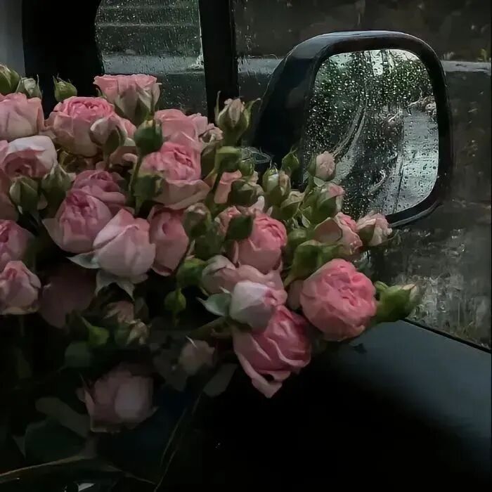 唯美鲜花朋友圈背景图