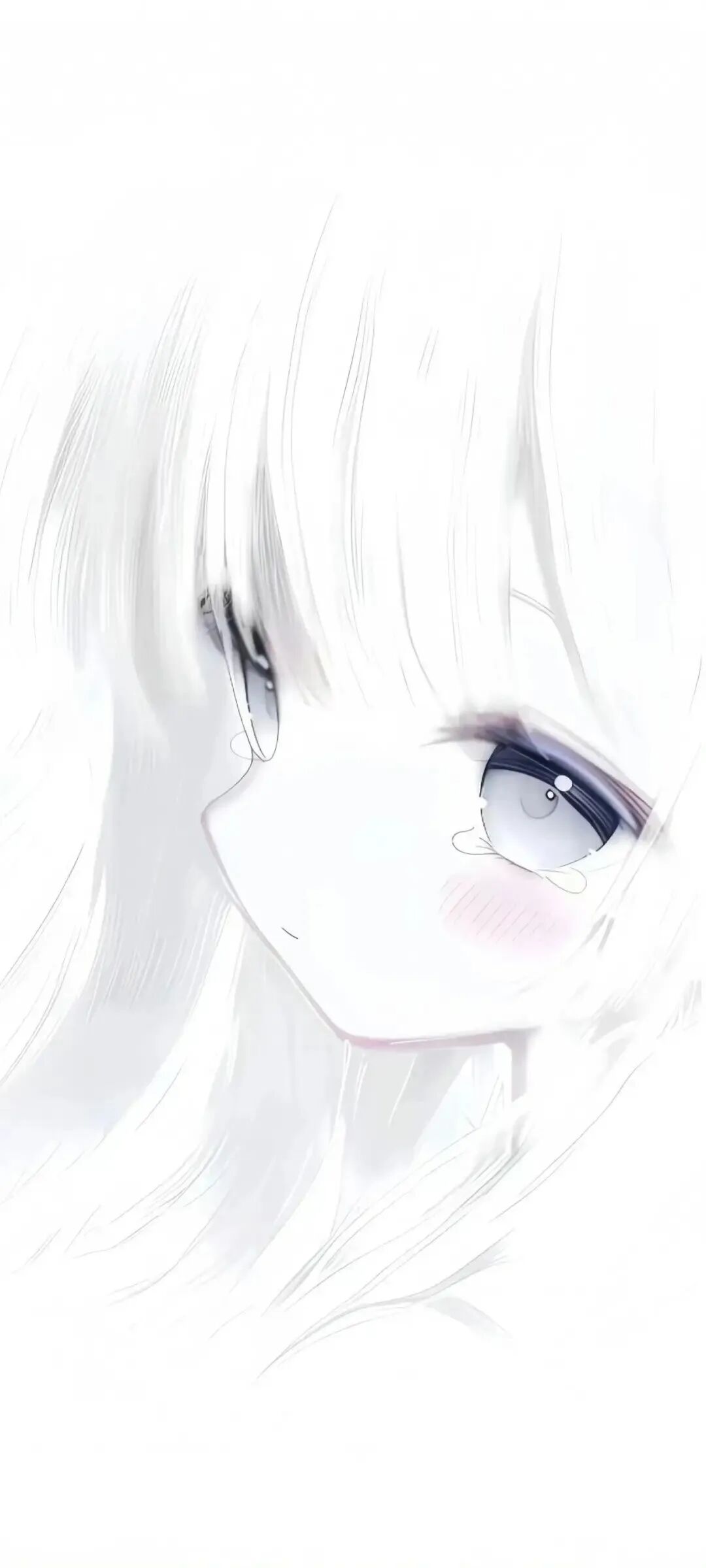 动漫