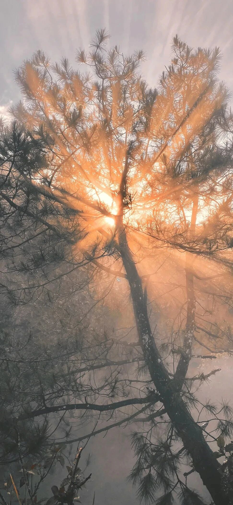 风景