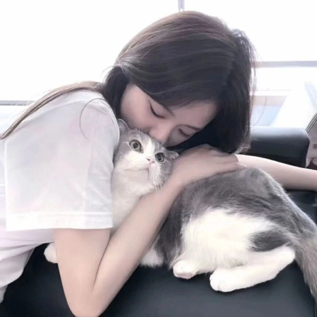 抱着猫咪温柔女生头像