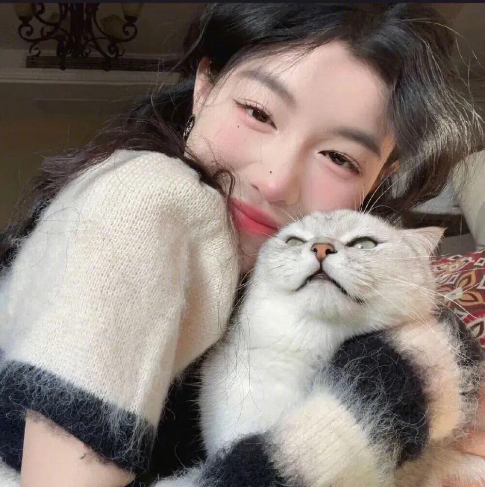 抱着猫咪甜妹女生头像