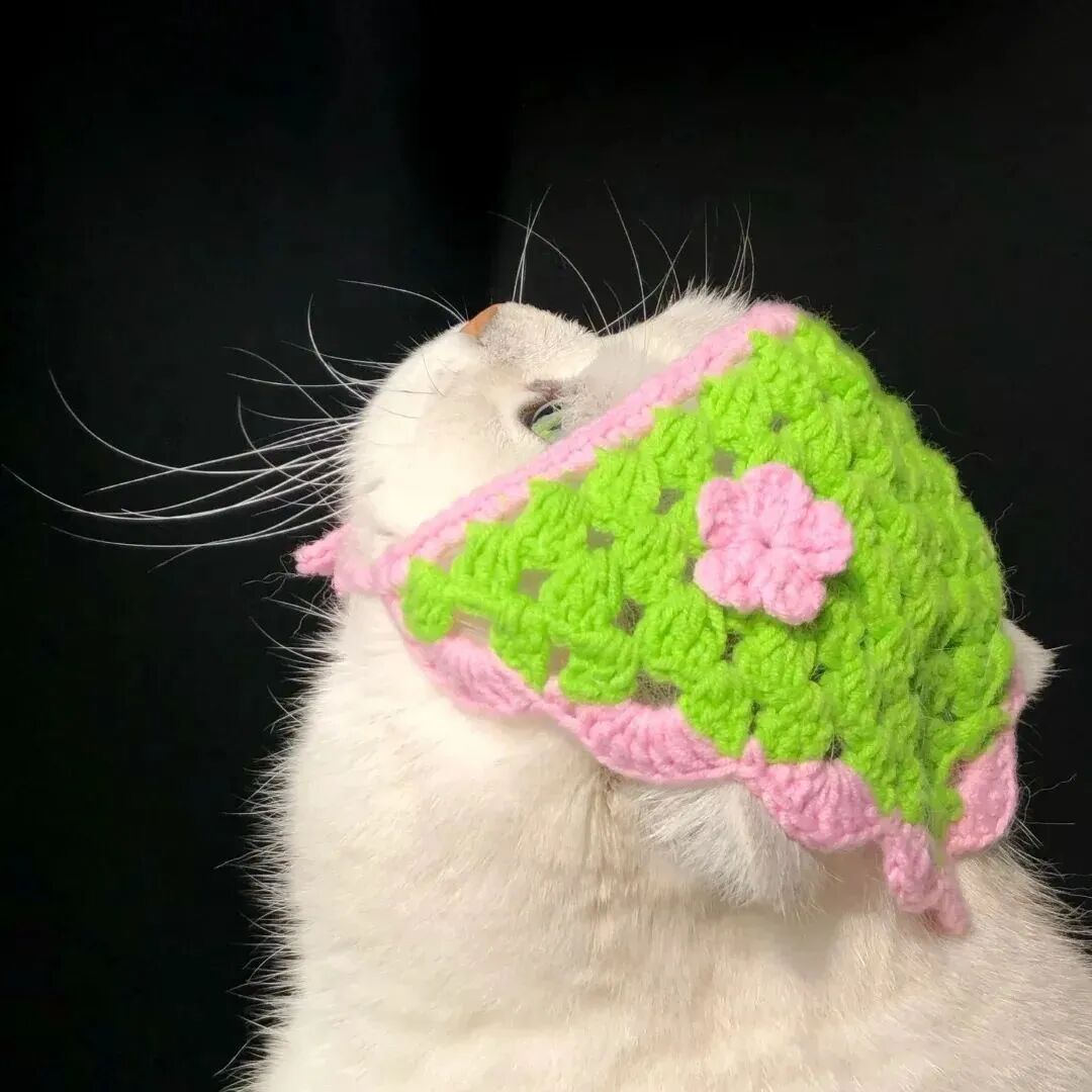 猫咪萌宠头像