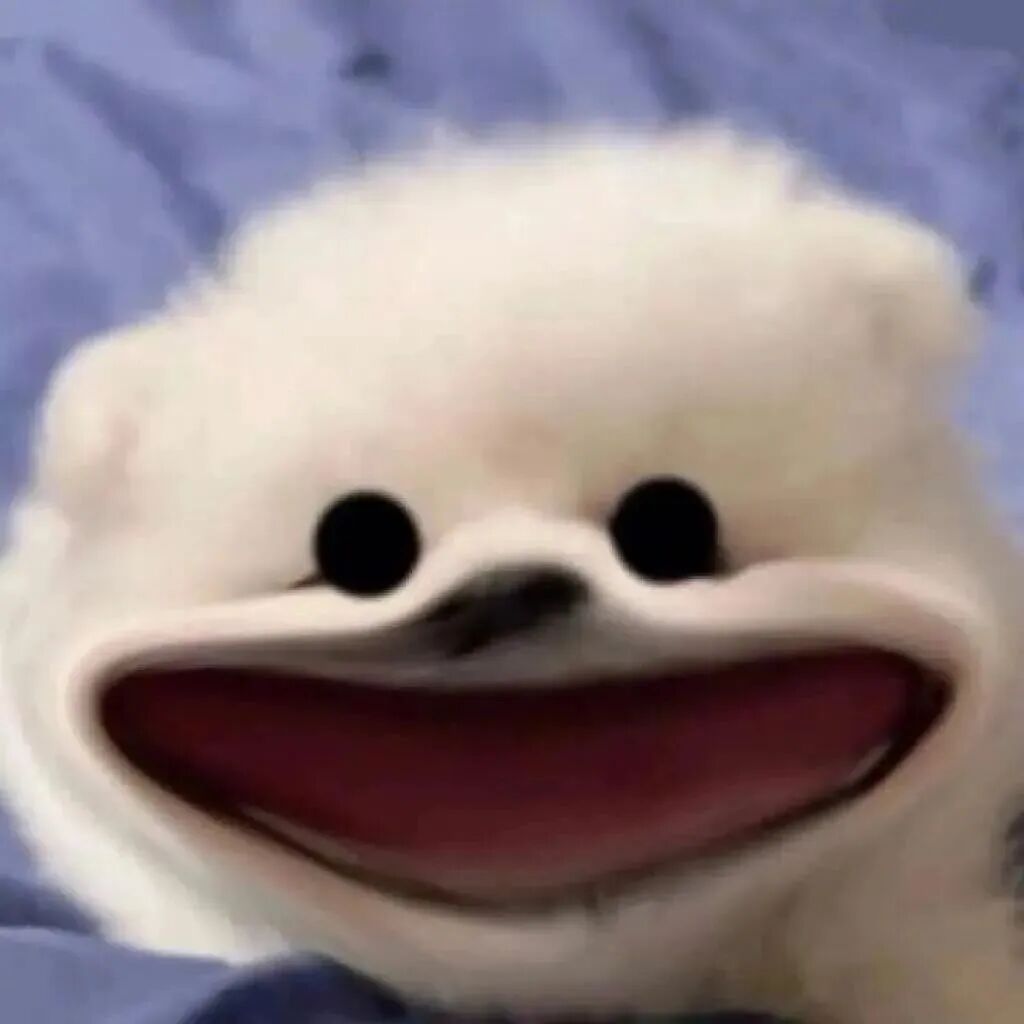 dayunatzongyebgyaomei大冤种狗狗萌宠情侣头像